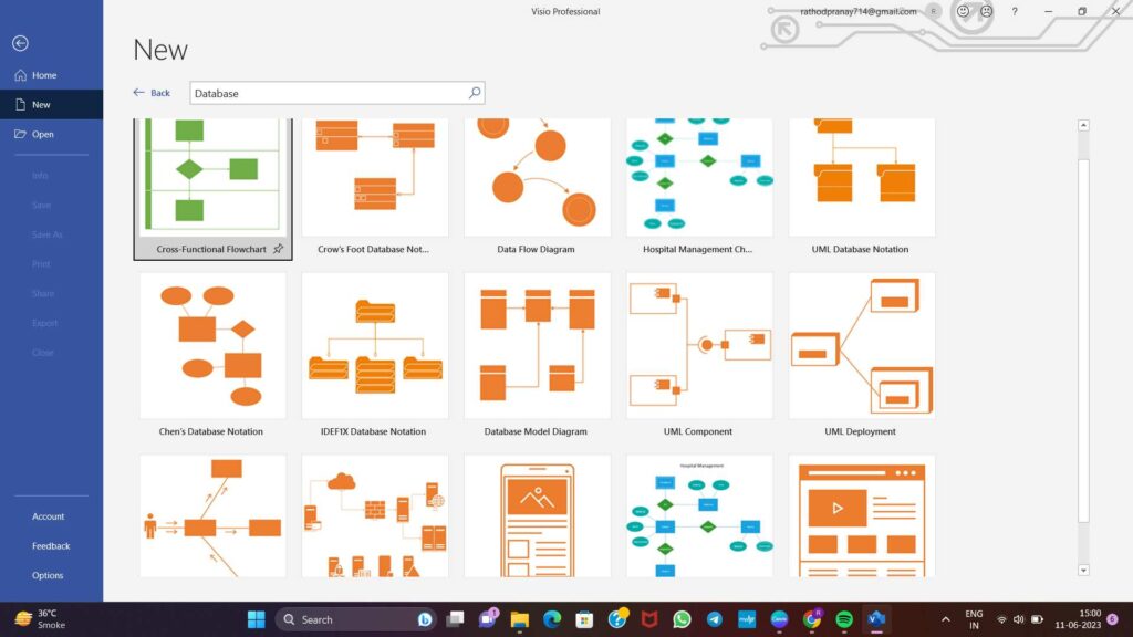 Visio Professional Offline Installer 2024 Professional Download ISO IMG