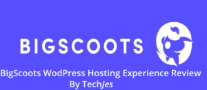 Bigscoots WordPress hosting Experience Review