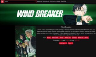 Top 15 Best Sites Like Aniwatch to Watch HD Movies Online